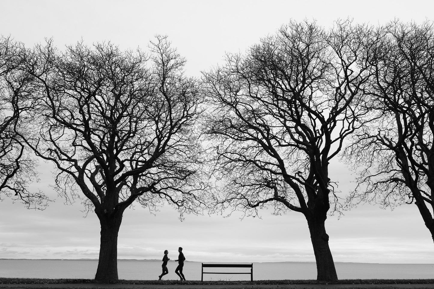 silhuet af to løbere ved vandkanten i aarhus bugt af frede photography