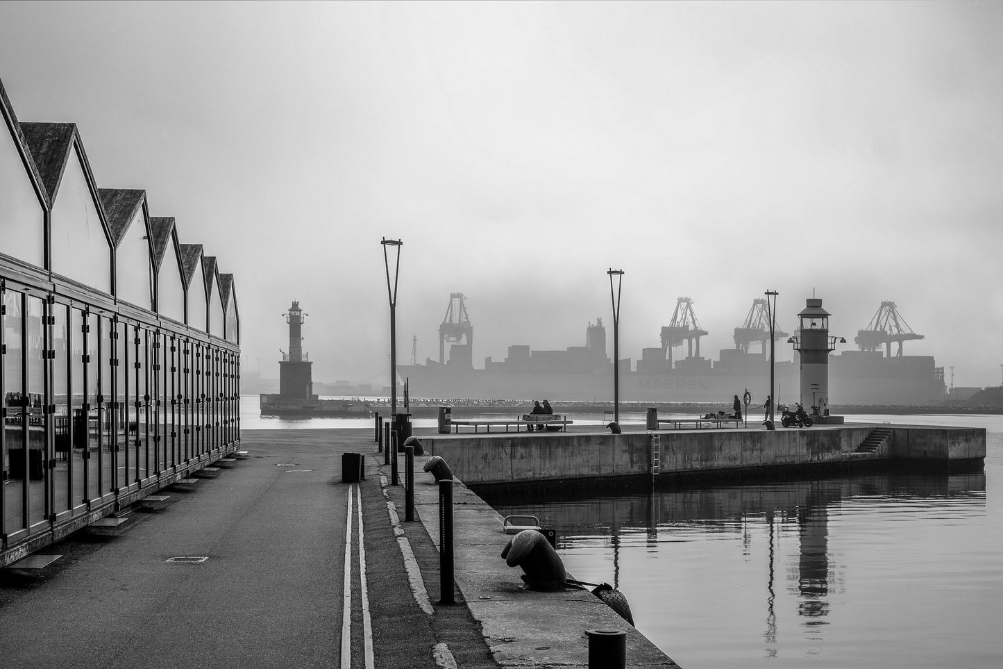 sort hvid billede af kraner ved aarhus havn set fra badehusene af fotograf lars frederiksen