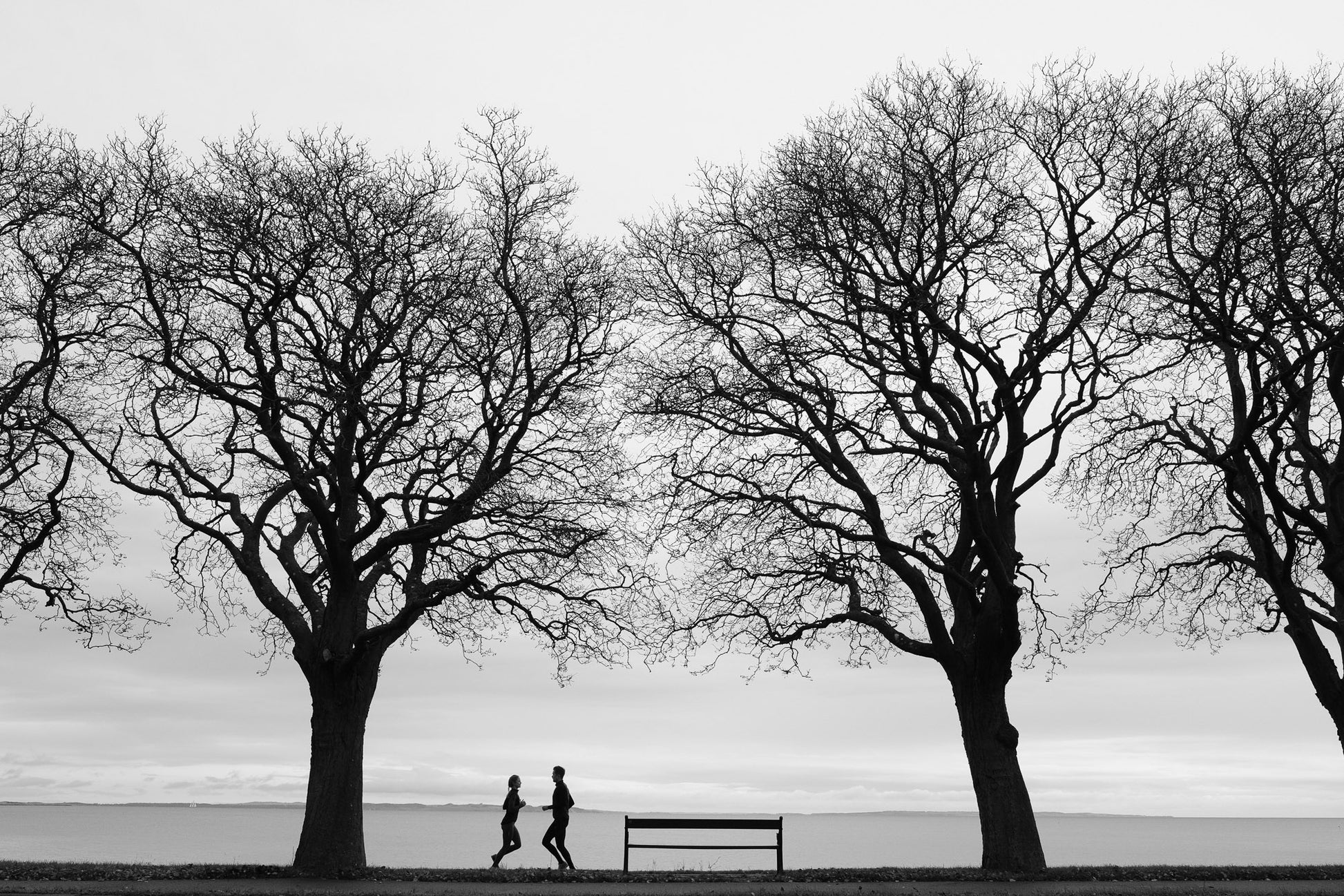 silhuet af to løbere ved vandkanten i aarhus bugt af frede photography